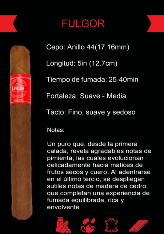 Fulgor - Línea Ancestral.